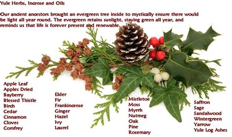 Exploring the World of Pagan Yule Tree Magick: Spells, Charms, and Divination
